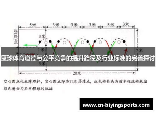 篮球体育道德与公平竞争的提升路径及行业标准的完善探讨