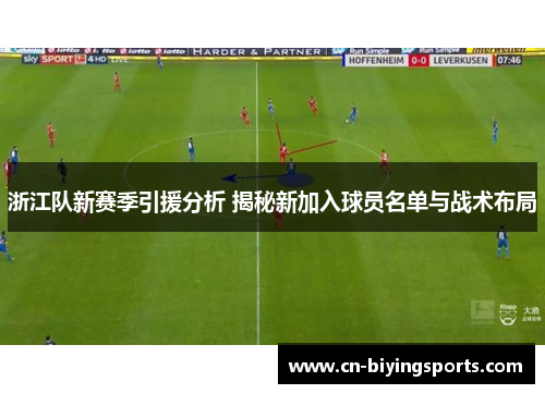 浙江队新赛季引援分析 揭秘新加入球员名单与战术布局