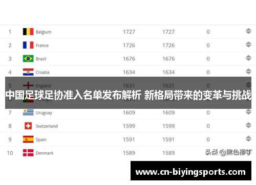 中国足球足协准入名单发布解析 新格局带来的变革与挑战
