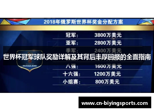 世界杯冠军球队奖励详解及其背后丰厚回报的全面指南
