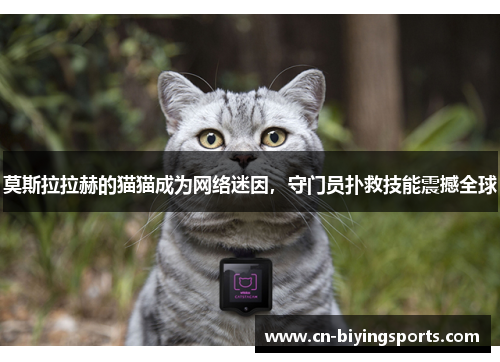 莫斯拉拉赫的猫猫成为网络迷因，守门员扑救技能震撼全球
