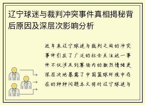 辽宁球迷与裁判冲突事件真相揭秘背后原因及深层次影响分析