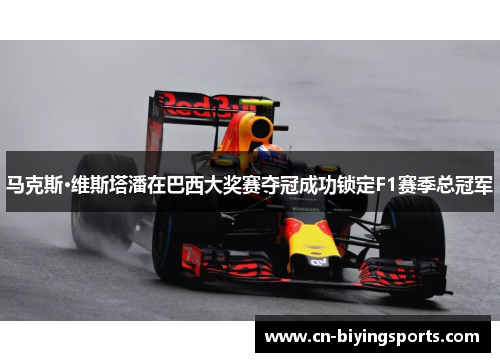 马克斯·维斯塔潘在巴西大奖赛夺冠成功锁定F1赛季总冠军